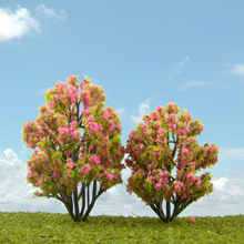 model trees